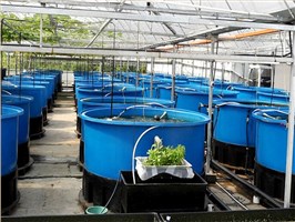 林辉塑业水产养殖方箱具有抗腐蚀性、耐热耐冻性佳